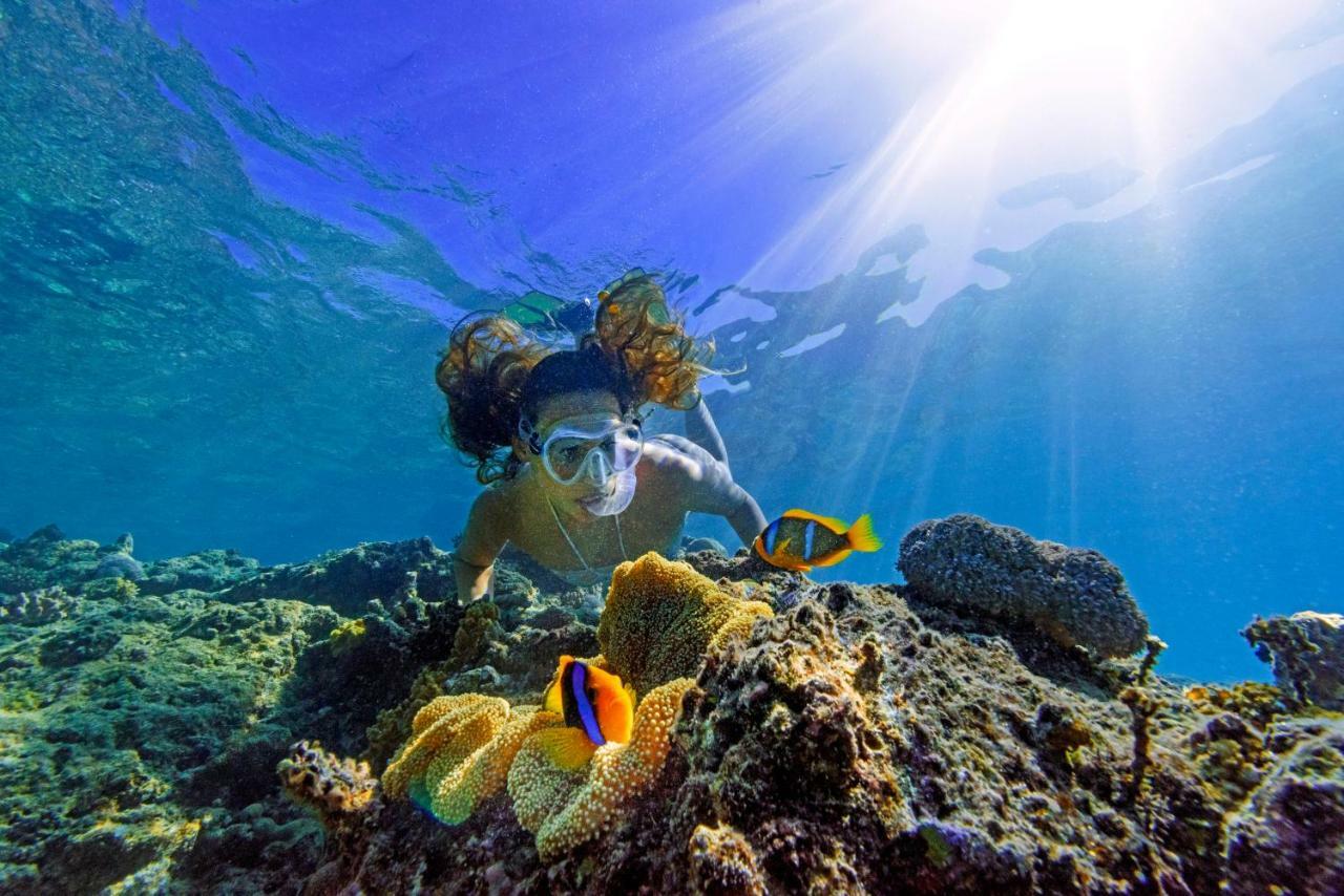 Oarsman'S Bay Lodge Naisisili المظهر الخارجي الصورة